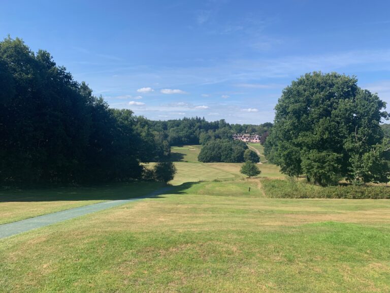 Mannings Heath Image